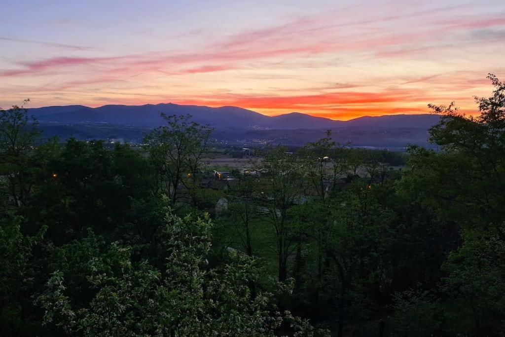 Gite De 70M² Avec Vue Sur Le Massif Du Pilat Clonas-sur-Vareze Exteriör bild