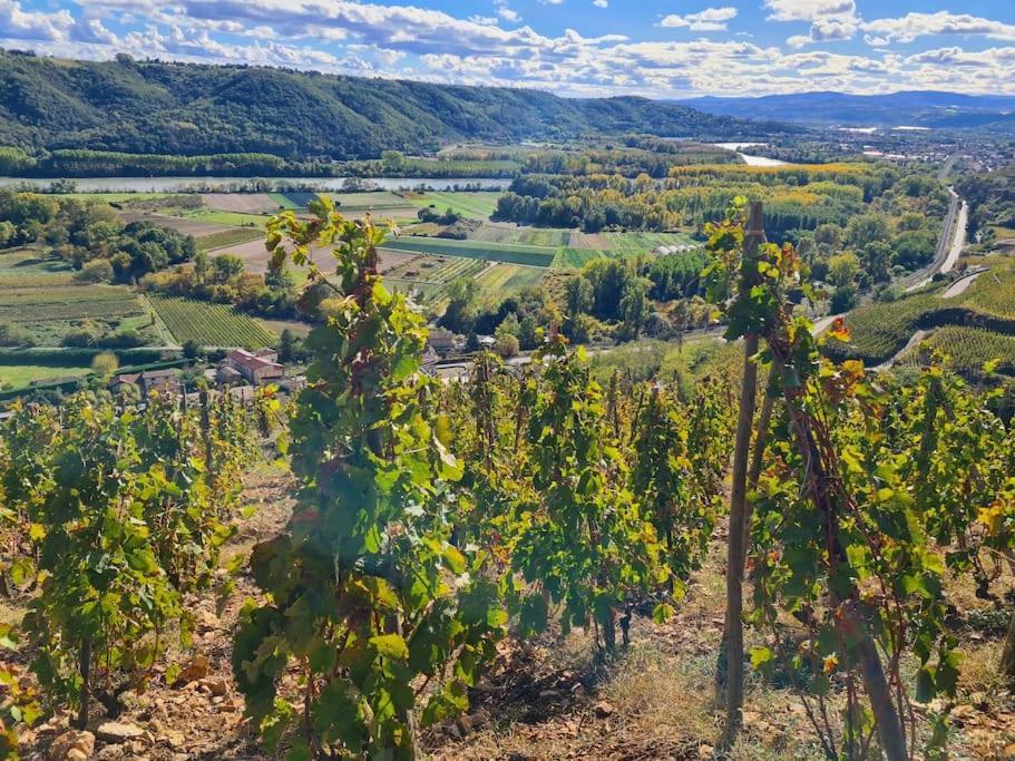 Gite De 70M² Avec Vue Sur Le Massif Du Pilat Clonas-sur-Vareze Exteriör bild