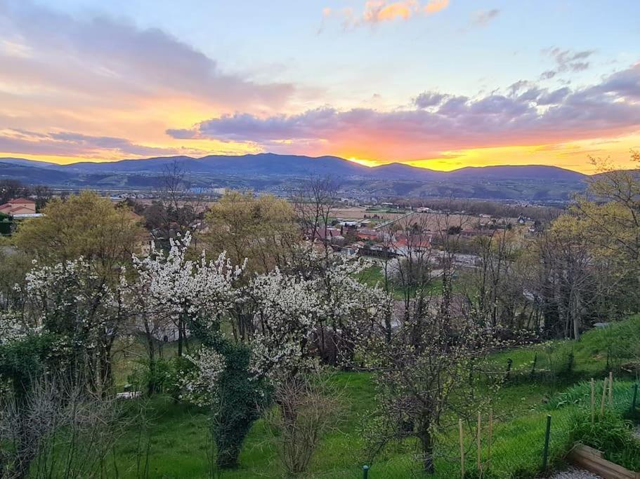 Gite De 70M² Avec Vue Sur Le Massif Du Pilat Clonas-sur-Vareze Exteriör bild
