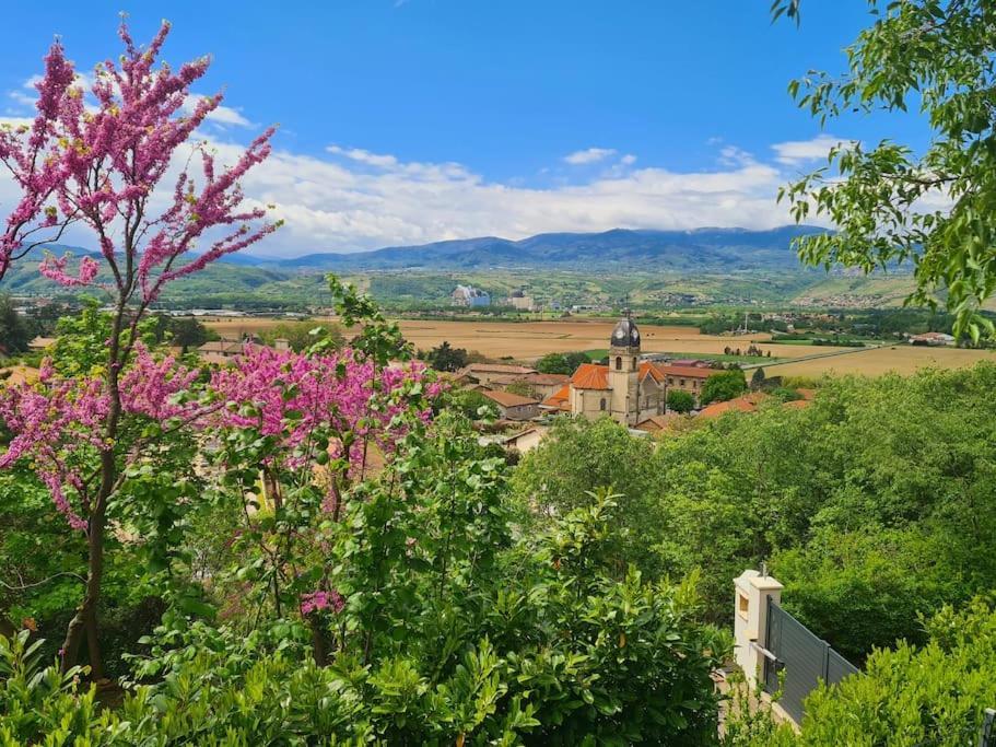 Gite De 70M² Avec Vue Sur Le Massif Du Pilat Clonas-sur-Vareze Exteriör bild